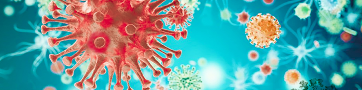 Covid-19 Dr Pierre Kory