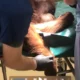 When Nature Calls: Care Of The Critically Ill Orangutan. A Case Report